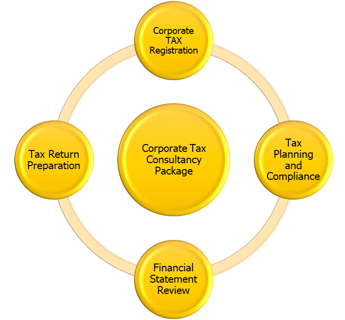 Corporate Tax Consultancy Package AMAudit