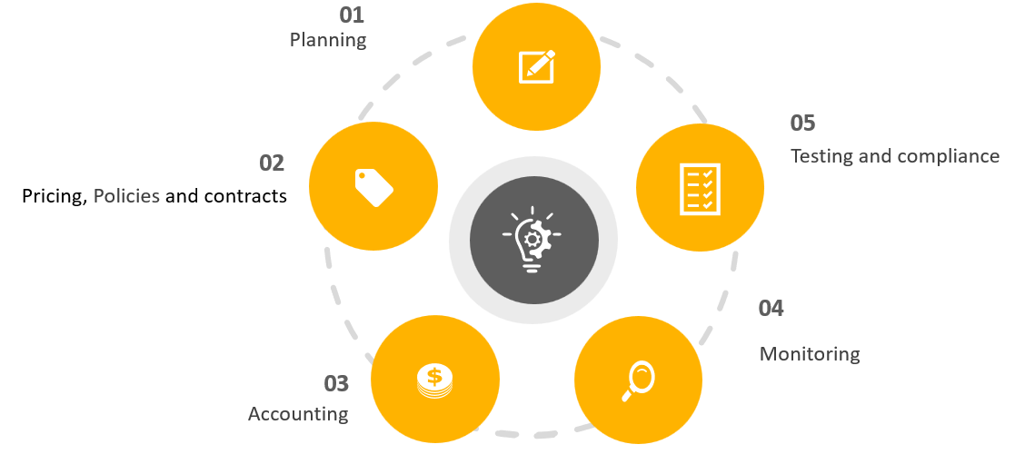 Our Transfer Pricing Process - AMAudit