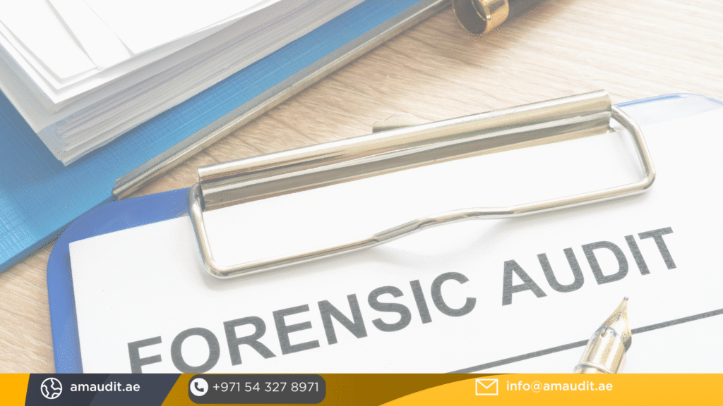 Forensic Audit Report in Abu Dhabi